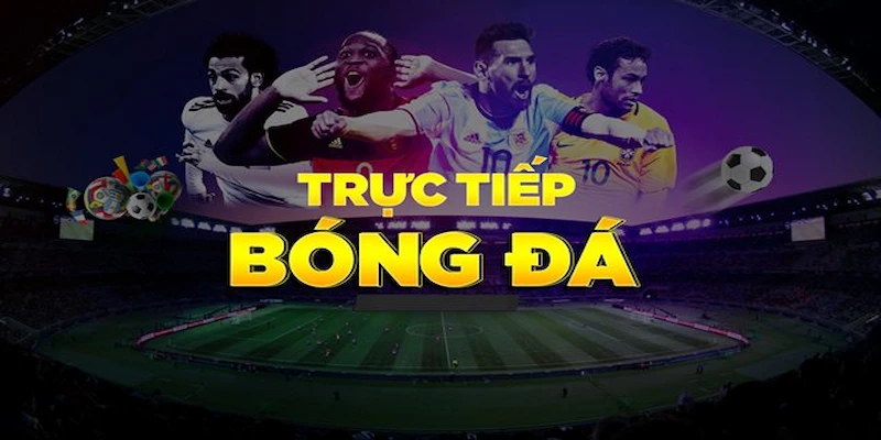Chức năng bình luận trực tiếp từ chuyên gia